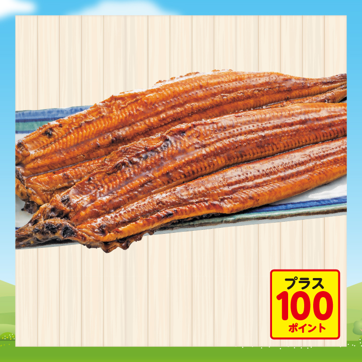 915.うなぎ蒲焼（真空） 2尾入【原料原産地：愛知県】 商品サムネイル